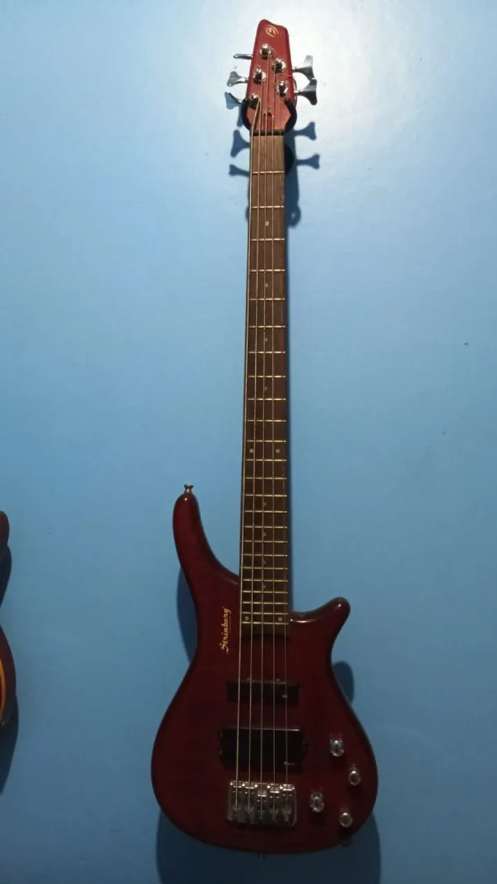 Baixo Steinberg 5 Cordas uma guitarra e um violão