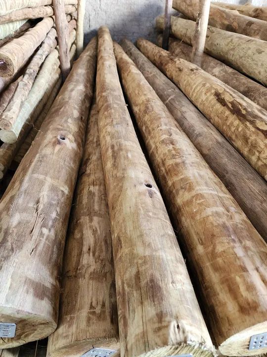 Treated Eucalyptus436600745765775365