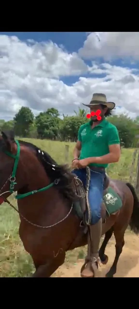 Vendo Cavalo de patrão 