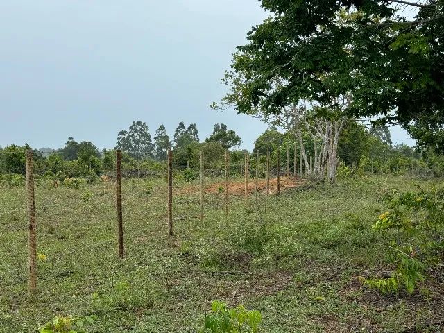 Vendo lindo sitio na praia de Cumuruxatiba ! - Foto 14