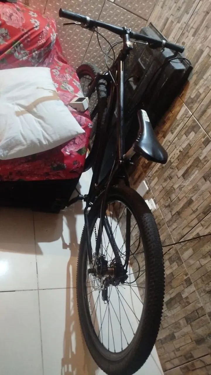 Bicicleta Aro 29