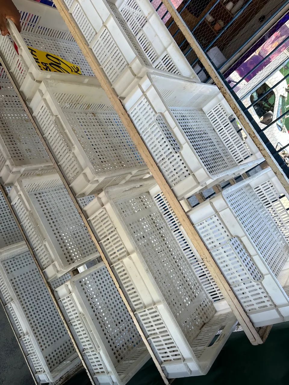 Expositor de hortifruti 64298114535041123