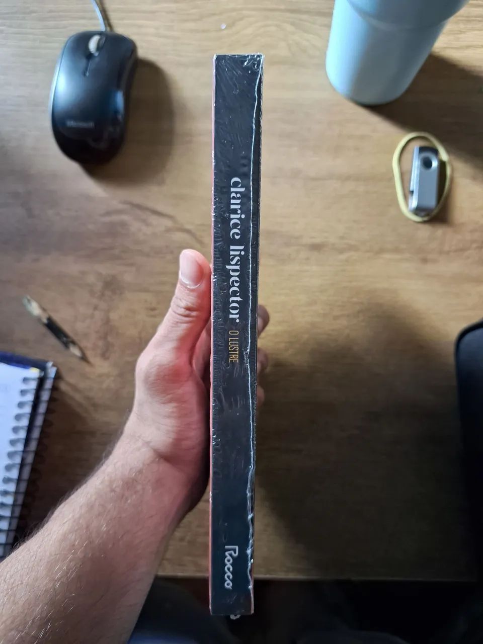 Clarice Lispector - O Lustre - Capa Mole - Foto 3
