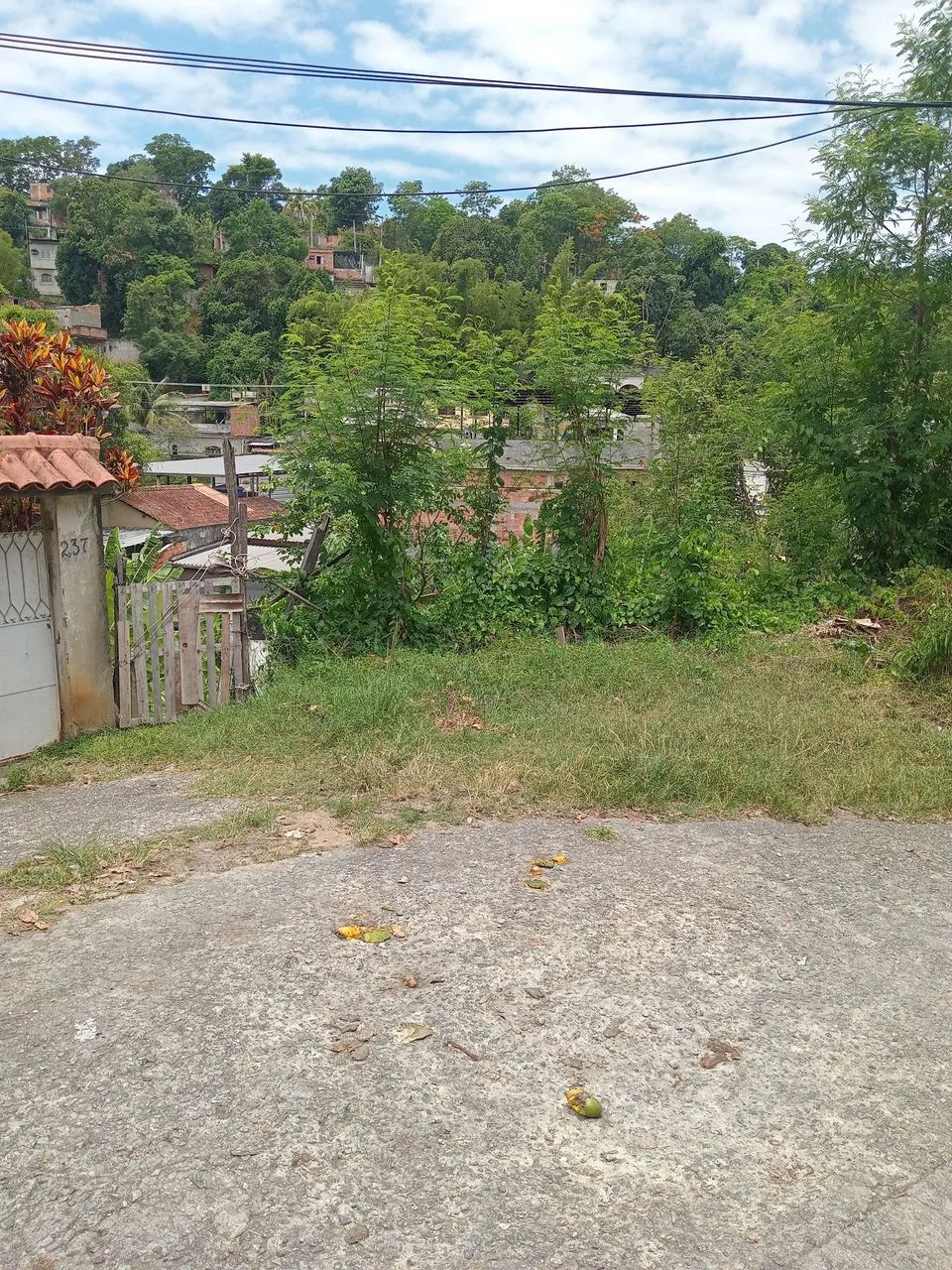 Foto - São Gonçalo - Almerinda