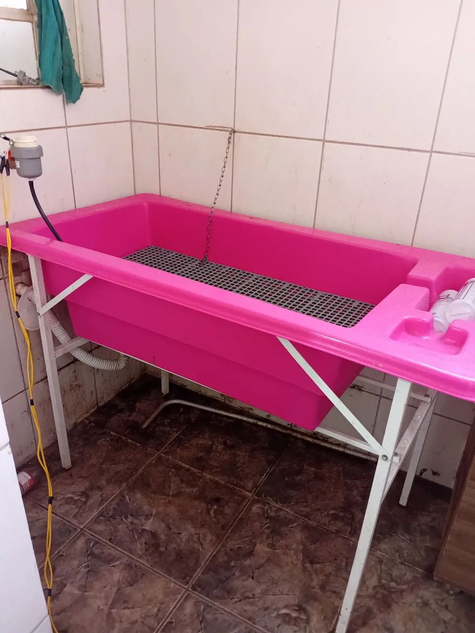 Banho e tosa completo imperdível - Foto 6