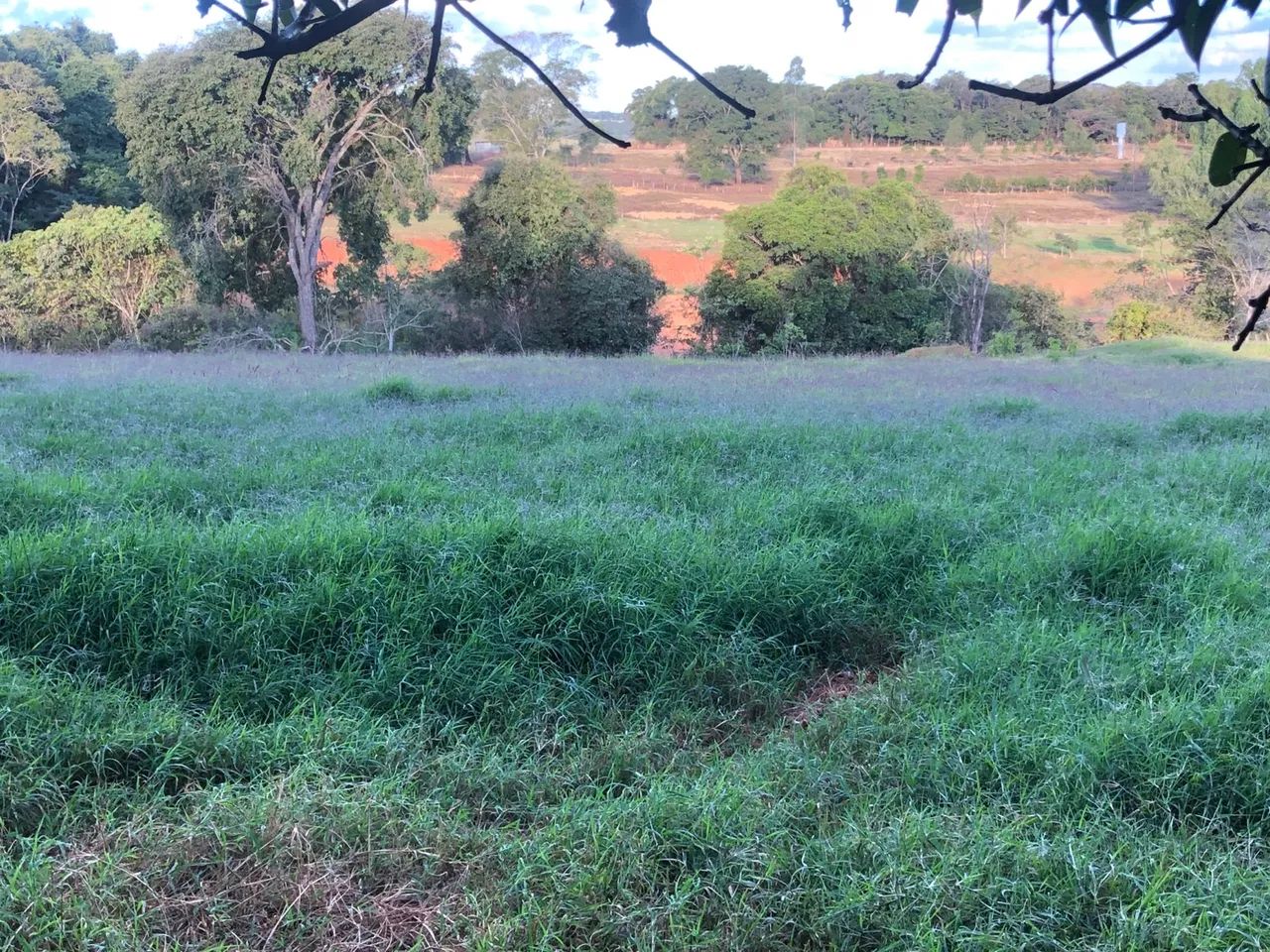 Chácara Neropolis Goiás  - Foto 3
