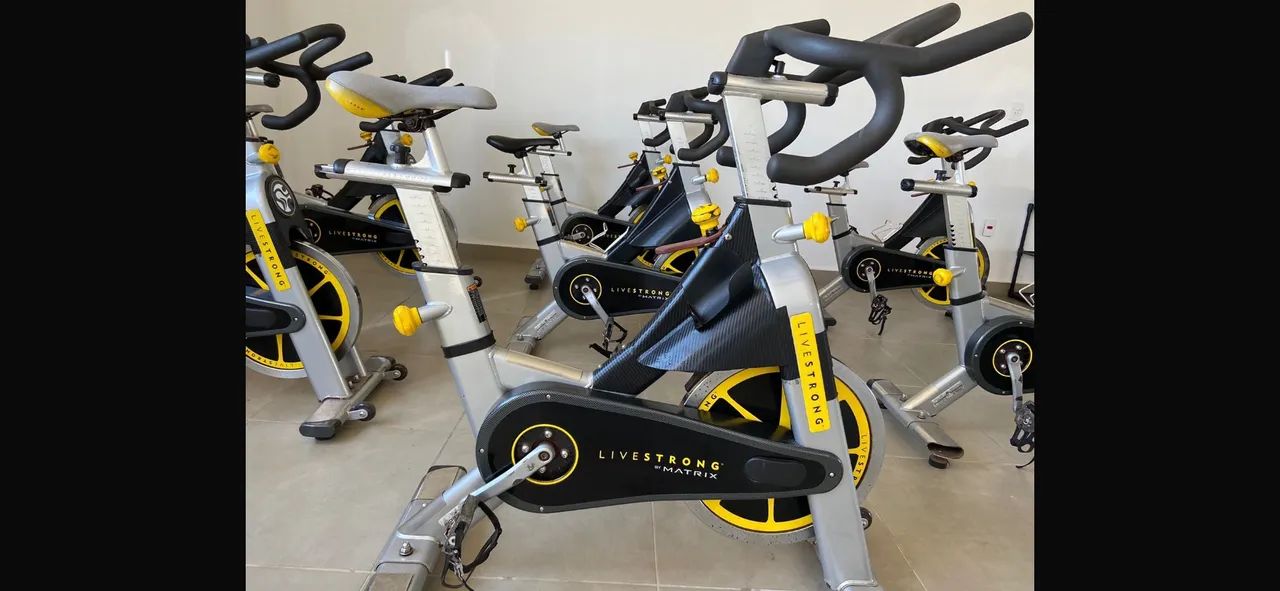Livestrong Tomahawk Indoor Cycle Matrix Spin Bike Matrix S Series