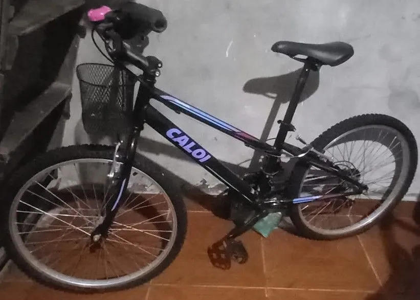 Bicicleta Caloi Aro 20