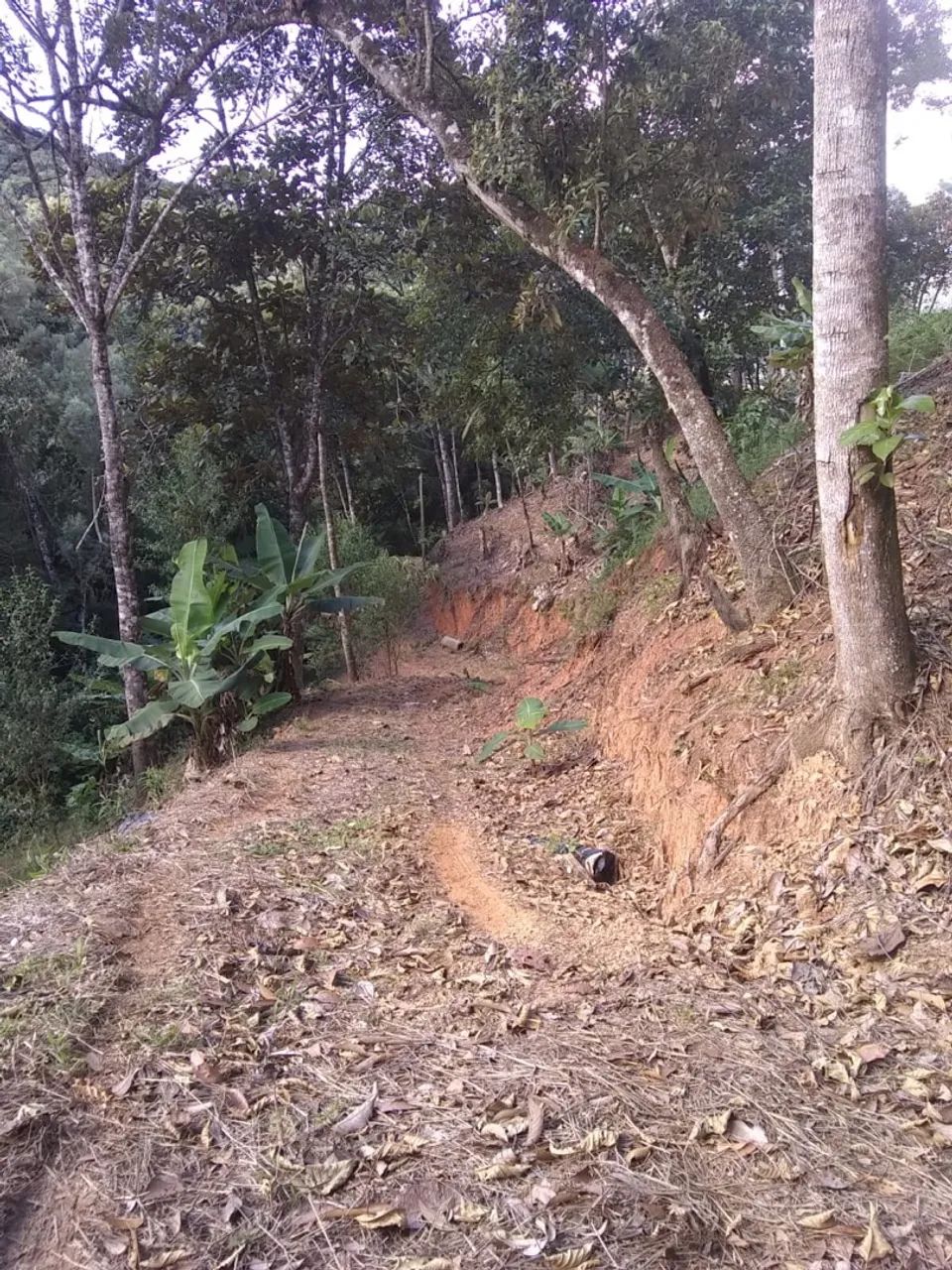 Teresópolis sc perto água mornas  - Foto 6