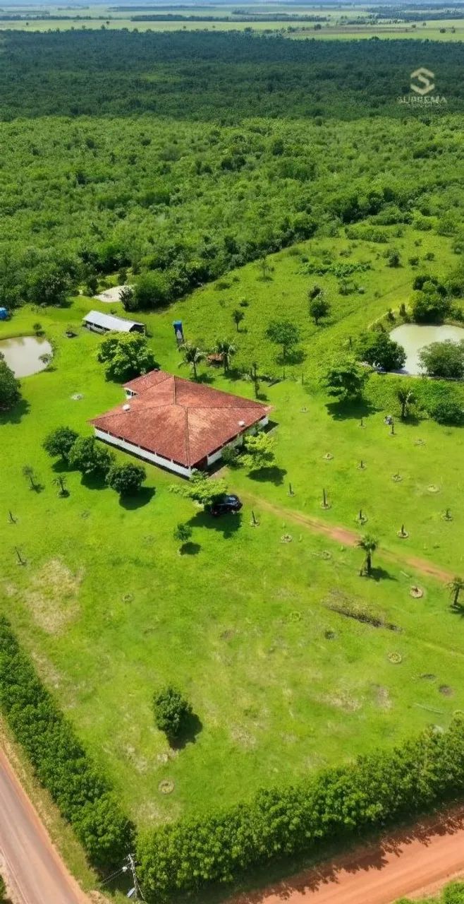 Sítio Completo Próximo à Santa Rita  - Foto 3
