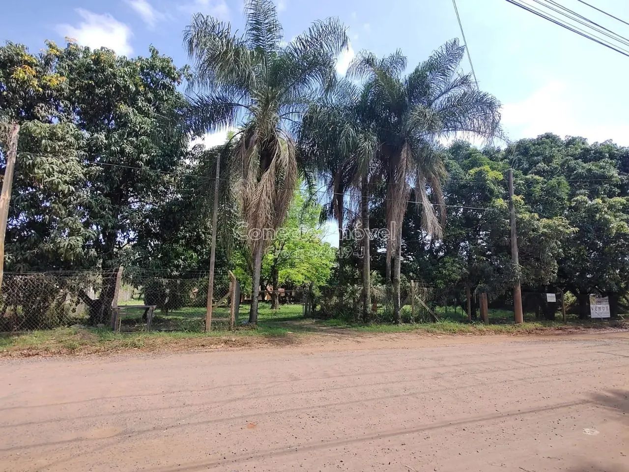 Sítio com lago no fundo, barracão e estufas à venda na Borda da Mata em Holambra/SP - Foto 3