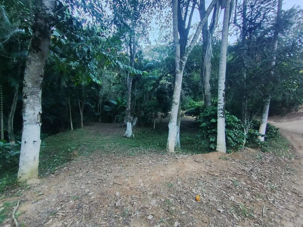 Vendo chácara em Cerro azul  - Foto 5