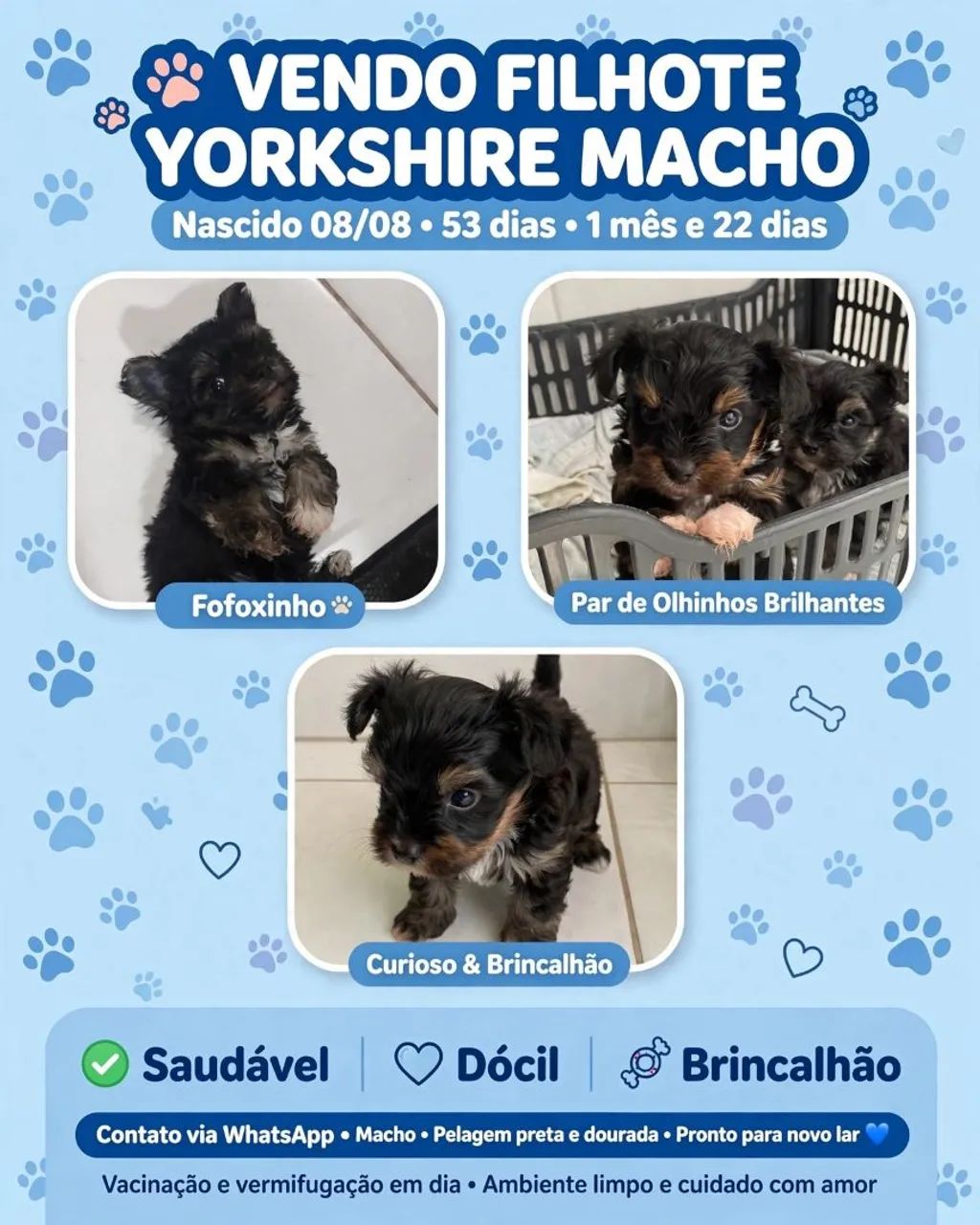 Yorkshire 