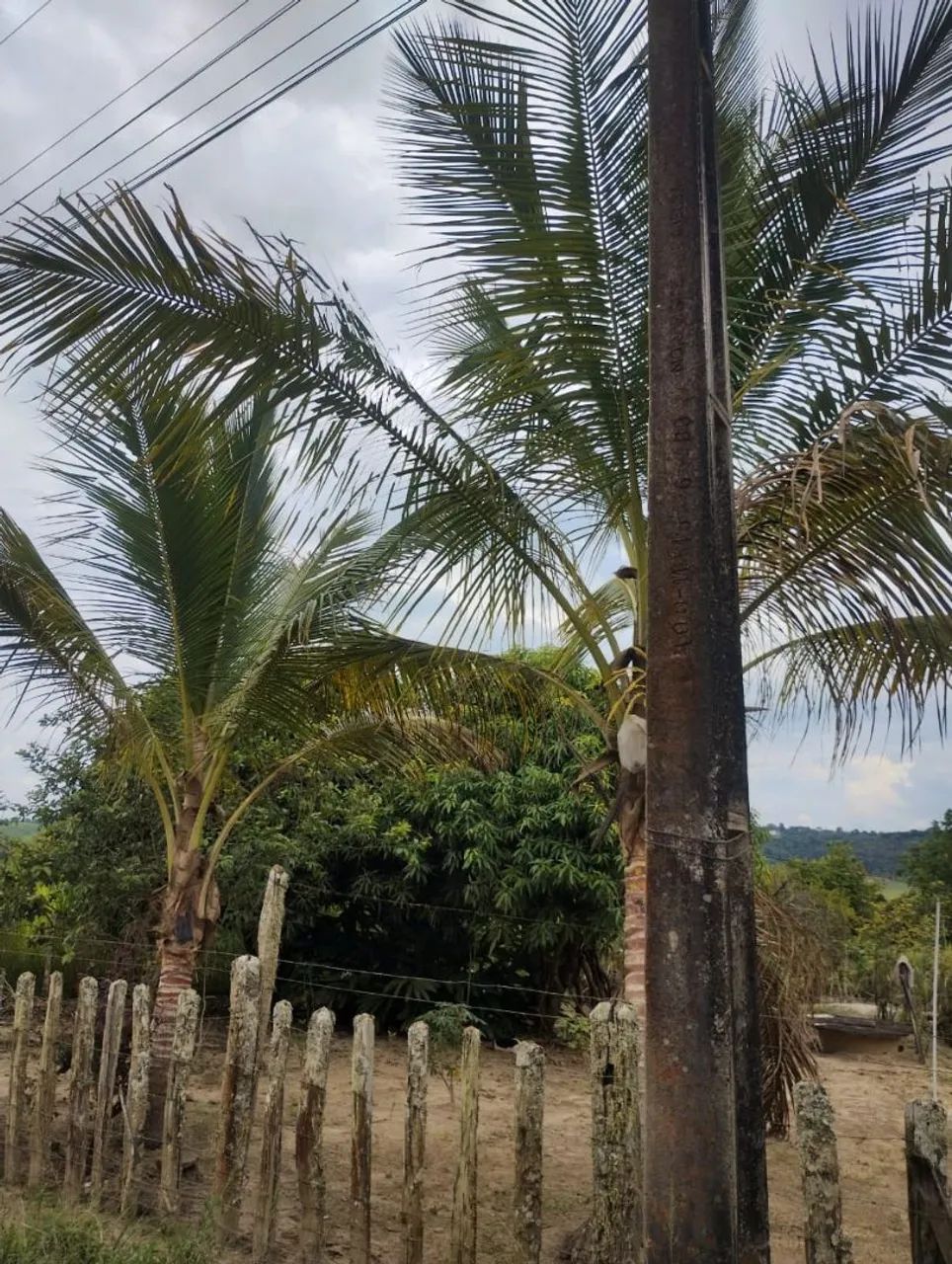 Foto - Vitória da Conquista - Iracema