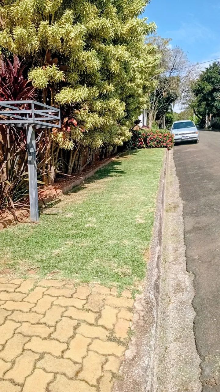 Jardinagem e limpeza de Piscina  - Foto 3