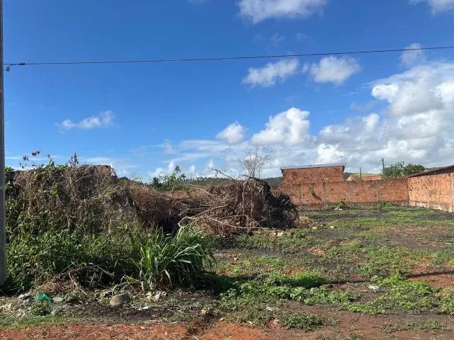 Terreno/Marechal Deodoro  - Foto 4