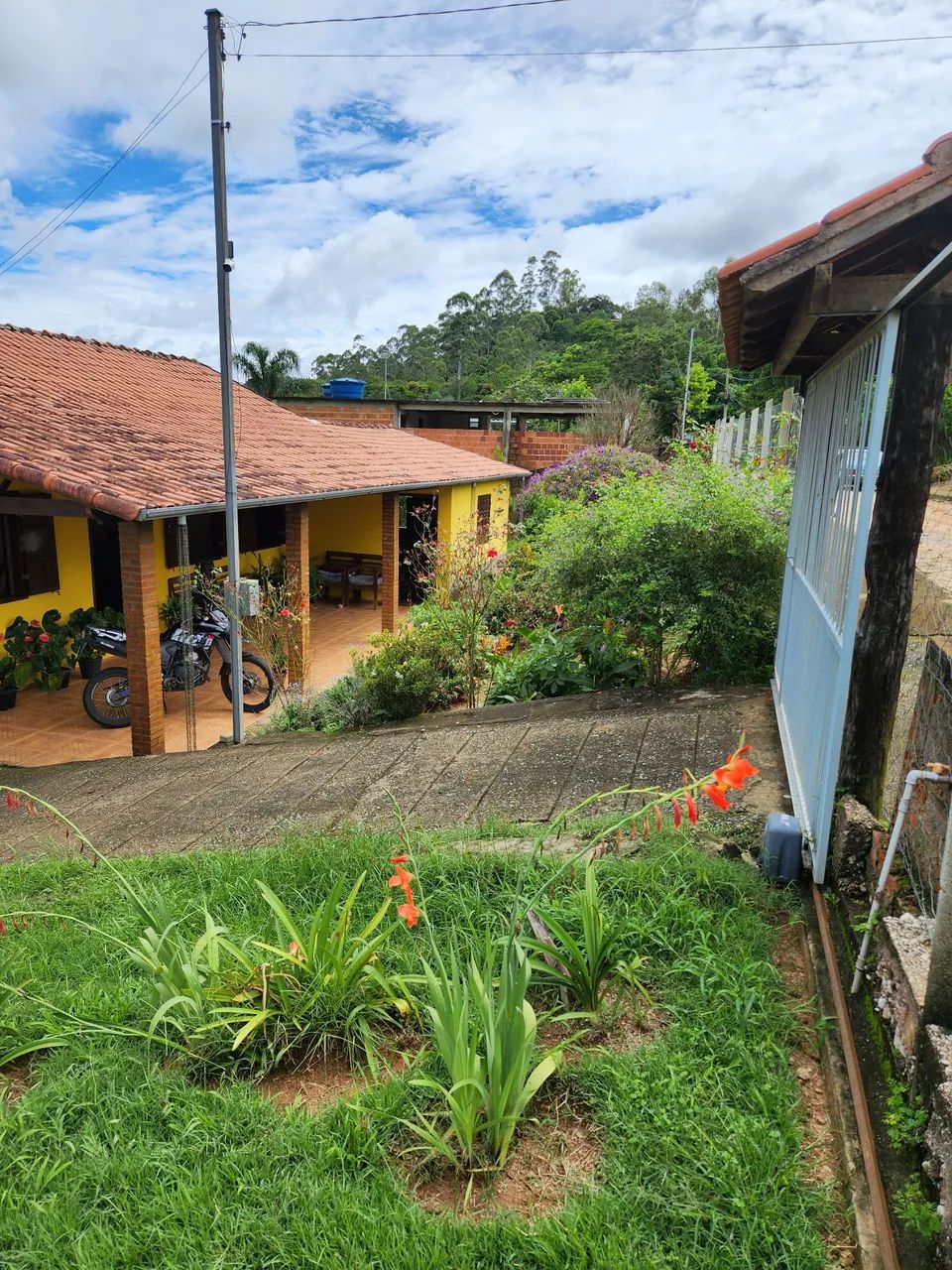 Foto - Lima Duarte - Orvalho