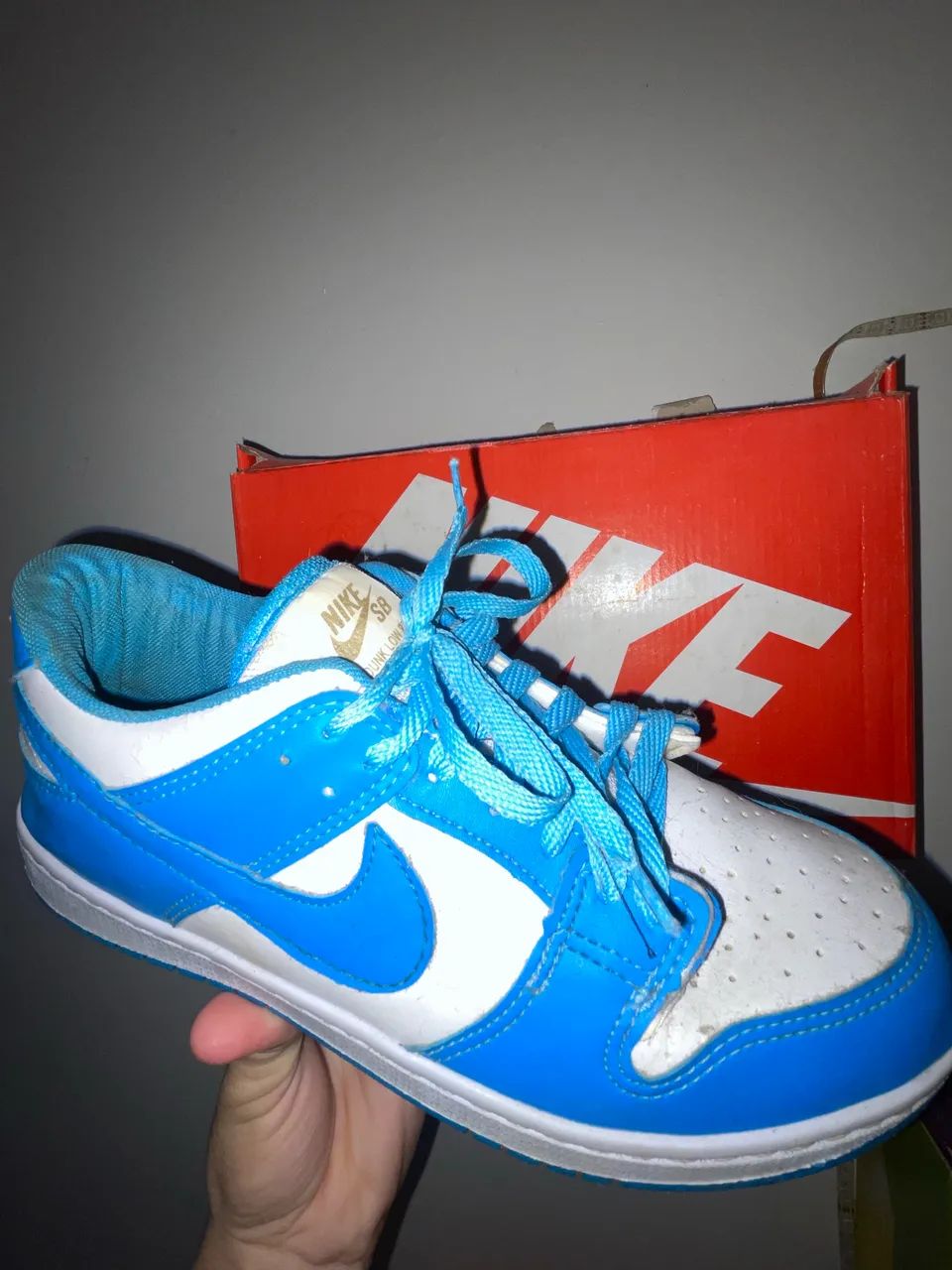 Nike Dunk Cylian Blue