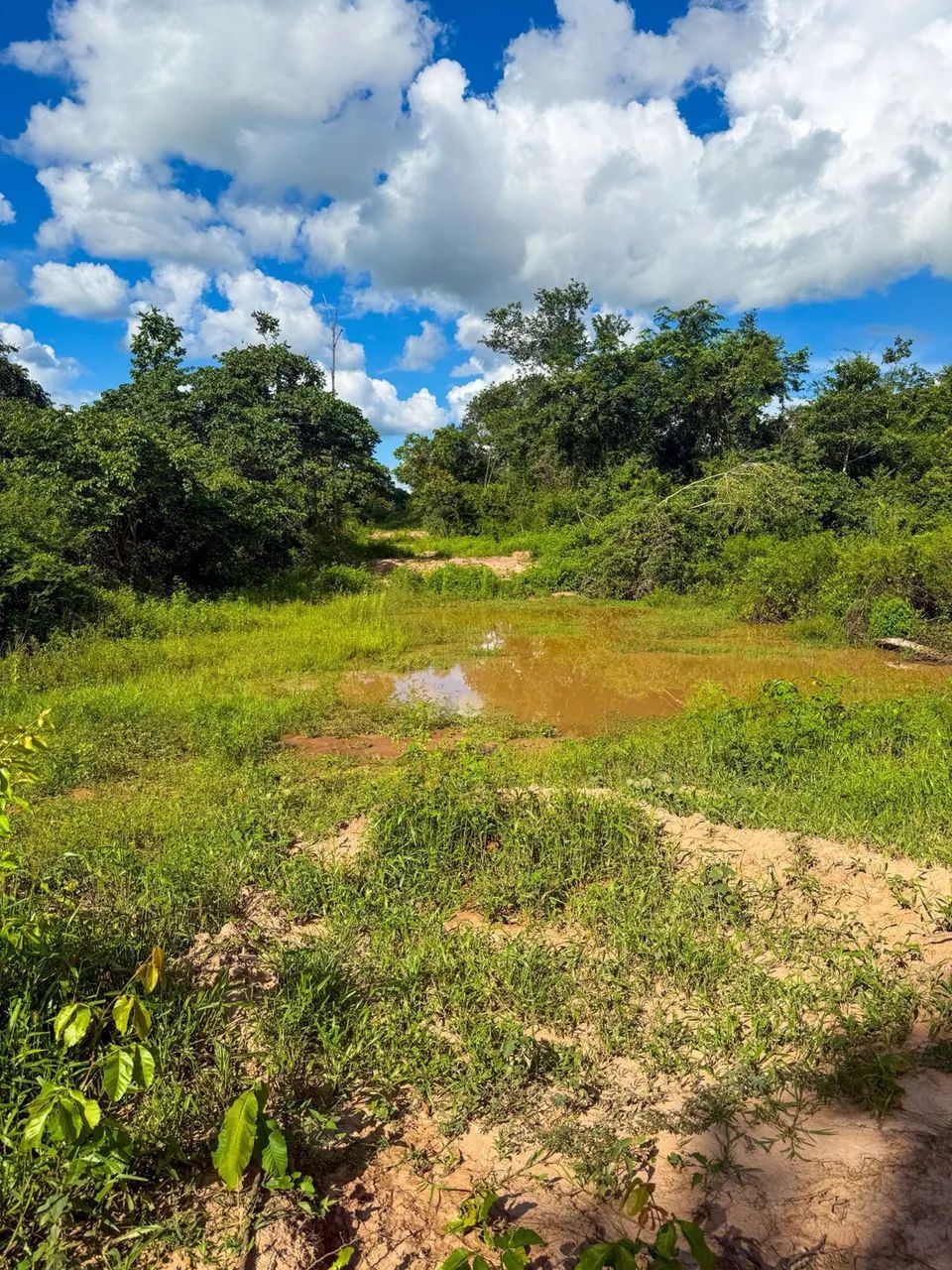 Chácara Barra do Arica Santo Antonio - Foto 4