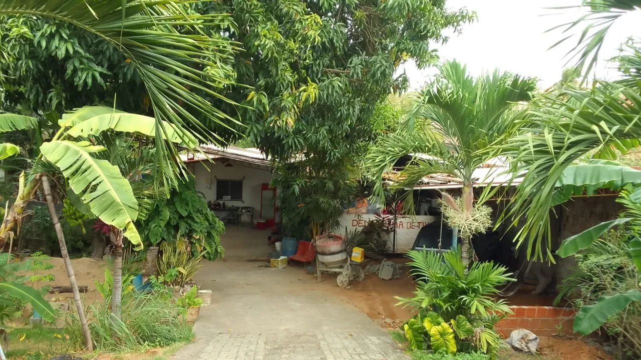 VENDO TERRENO EM PENEDO/MARANGUAPE fone: * - Foto 3
