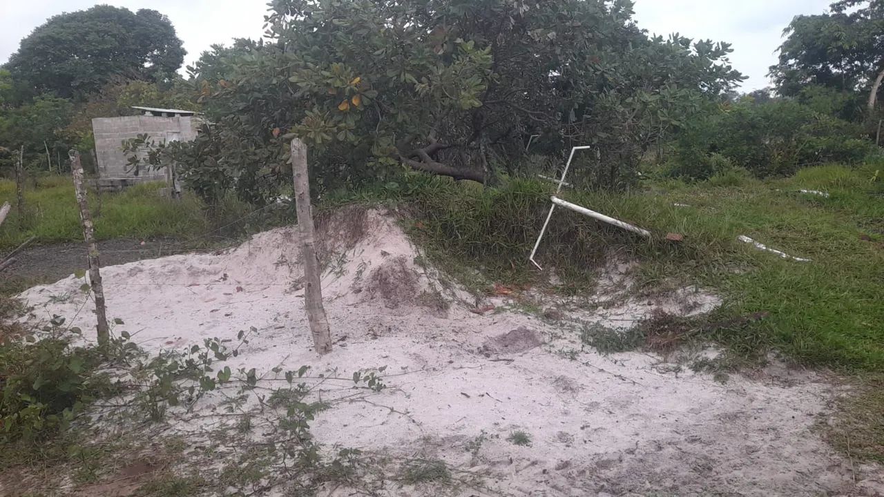 Terreno na Ilha  - Foto 3