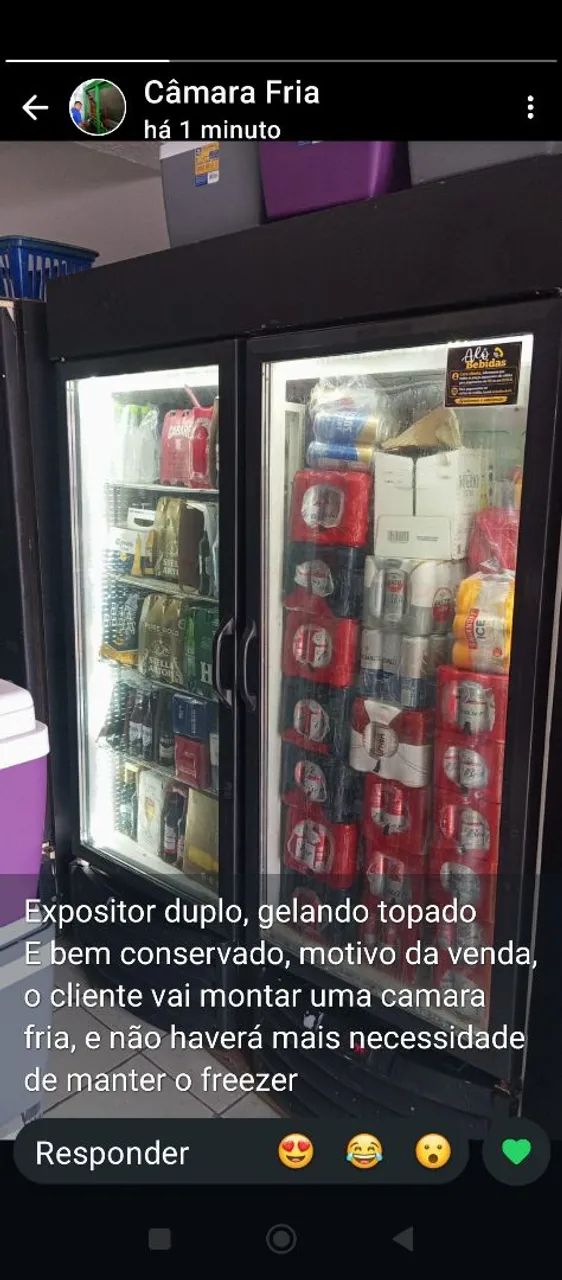 Expositor duplo