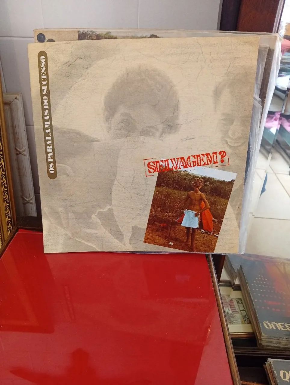 Lp paralamas do sucesso selvagem  - Foto 3