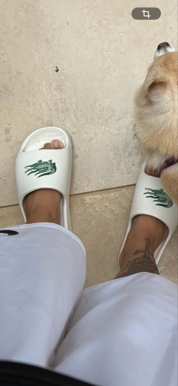 Slide Lacoste 