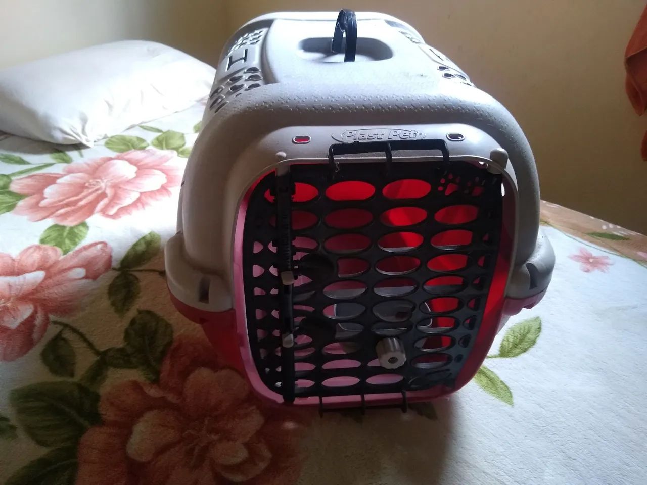 Caixa de transporte para PET  - Foto 3