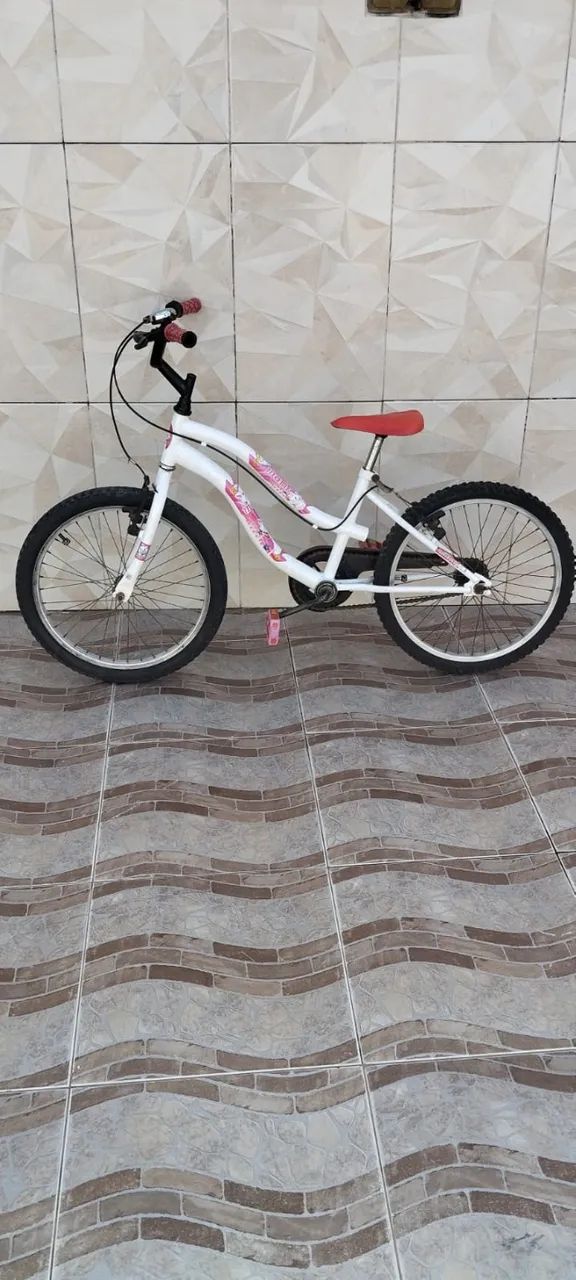 Bicicleta infantil Aro 20