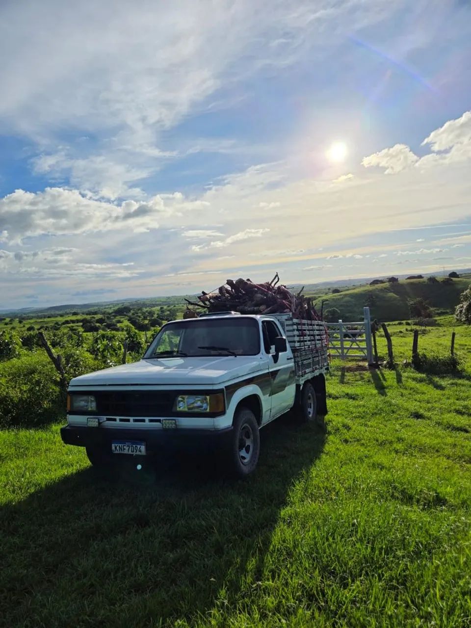 D20 disponível para frete