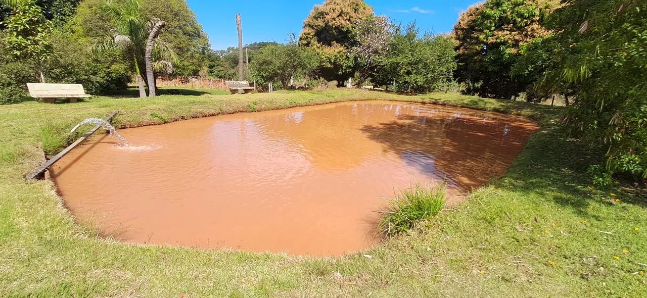 Sítio de 20 mil mts aceito oferta , troca no valor correspondente - Foto 12