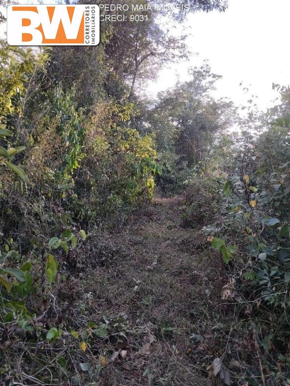 Farm em Serra do Cipó - Minas Gerais, - Foto 2