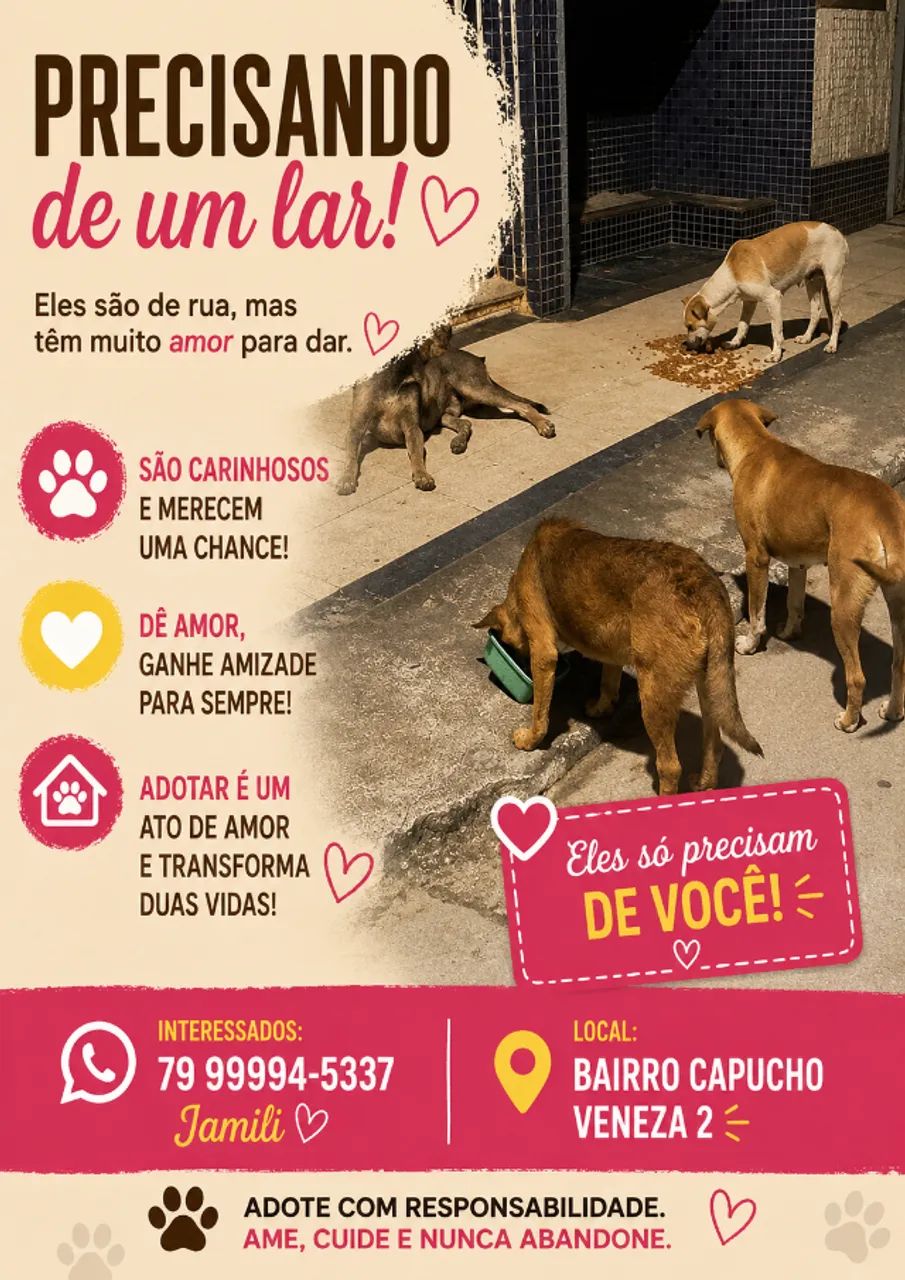 Cachorro adoção  - Foto 5