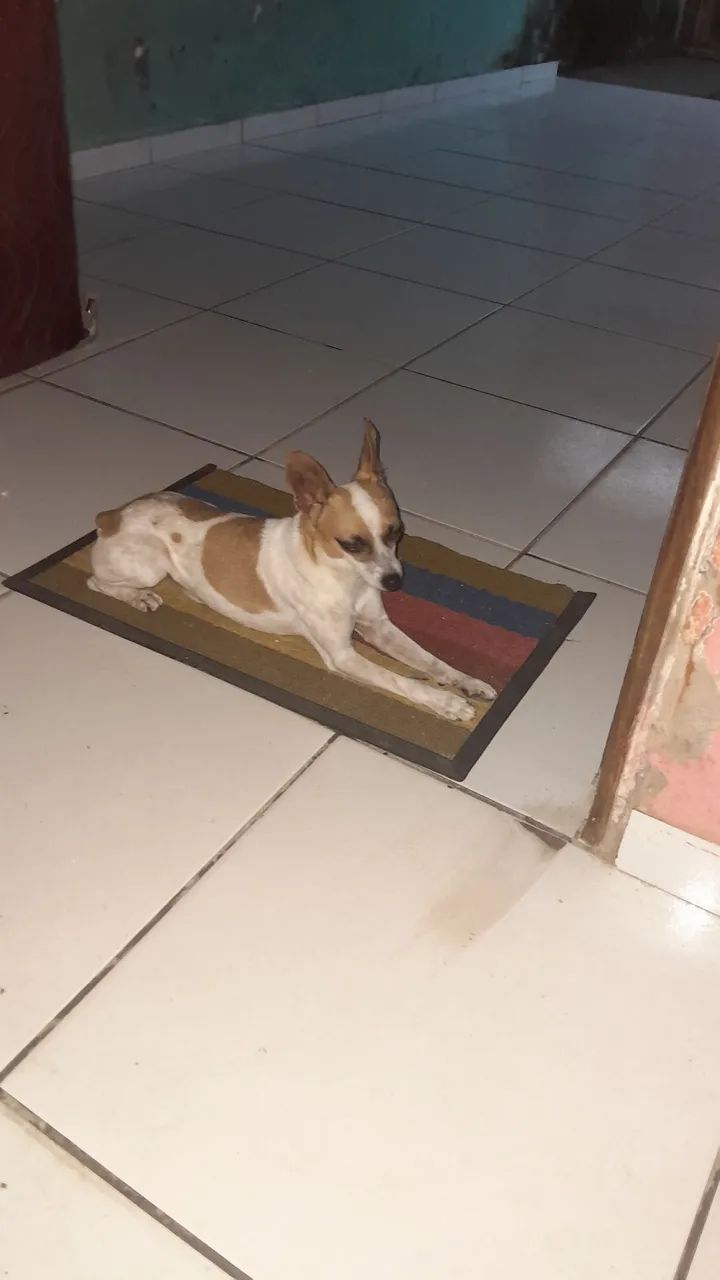Doação  - Foto 2