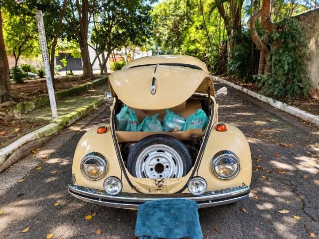 Volkswagen Fusca Fusca, foto 16 de 19