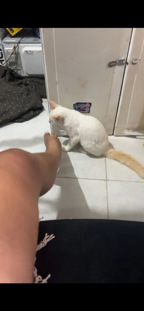 Doação 