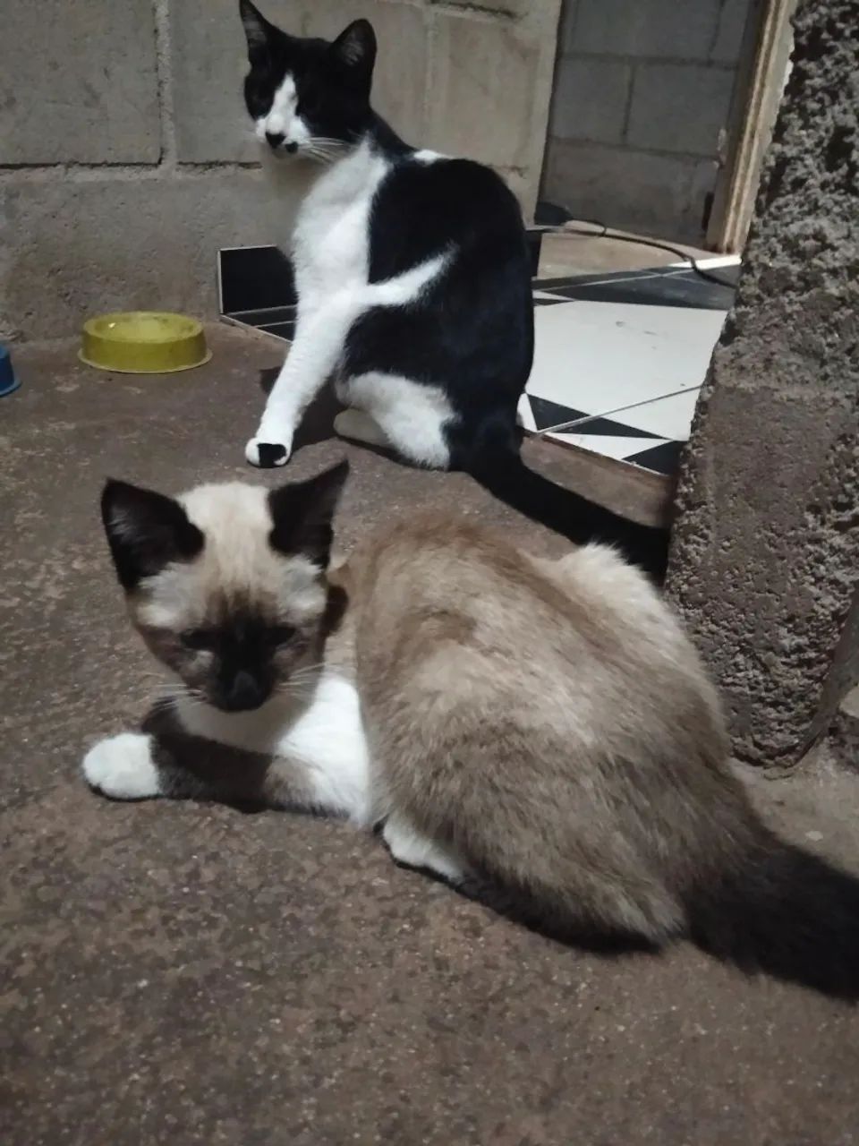 Doação 