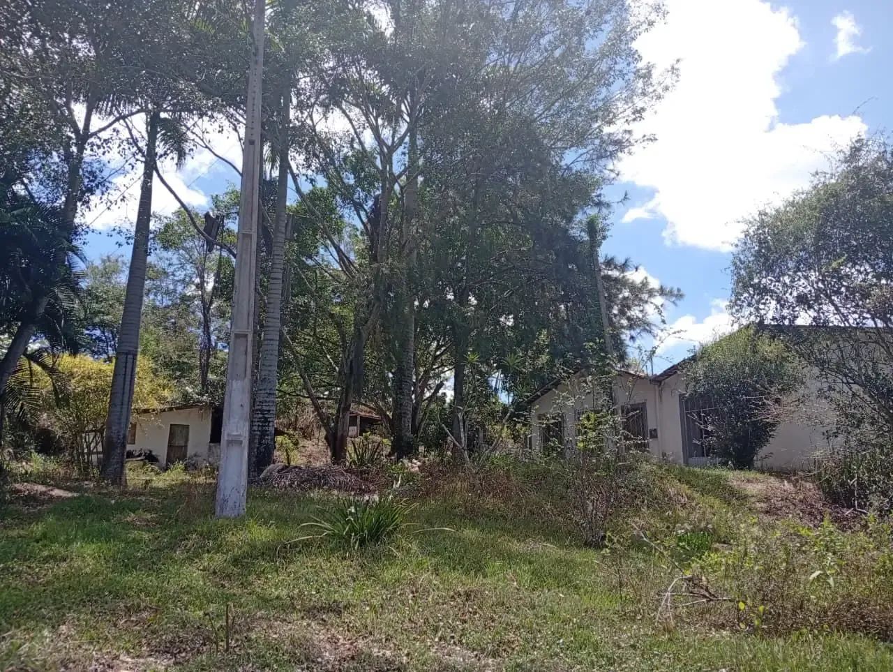 Granja em Bananeiras - Foto 2