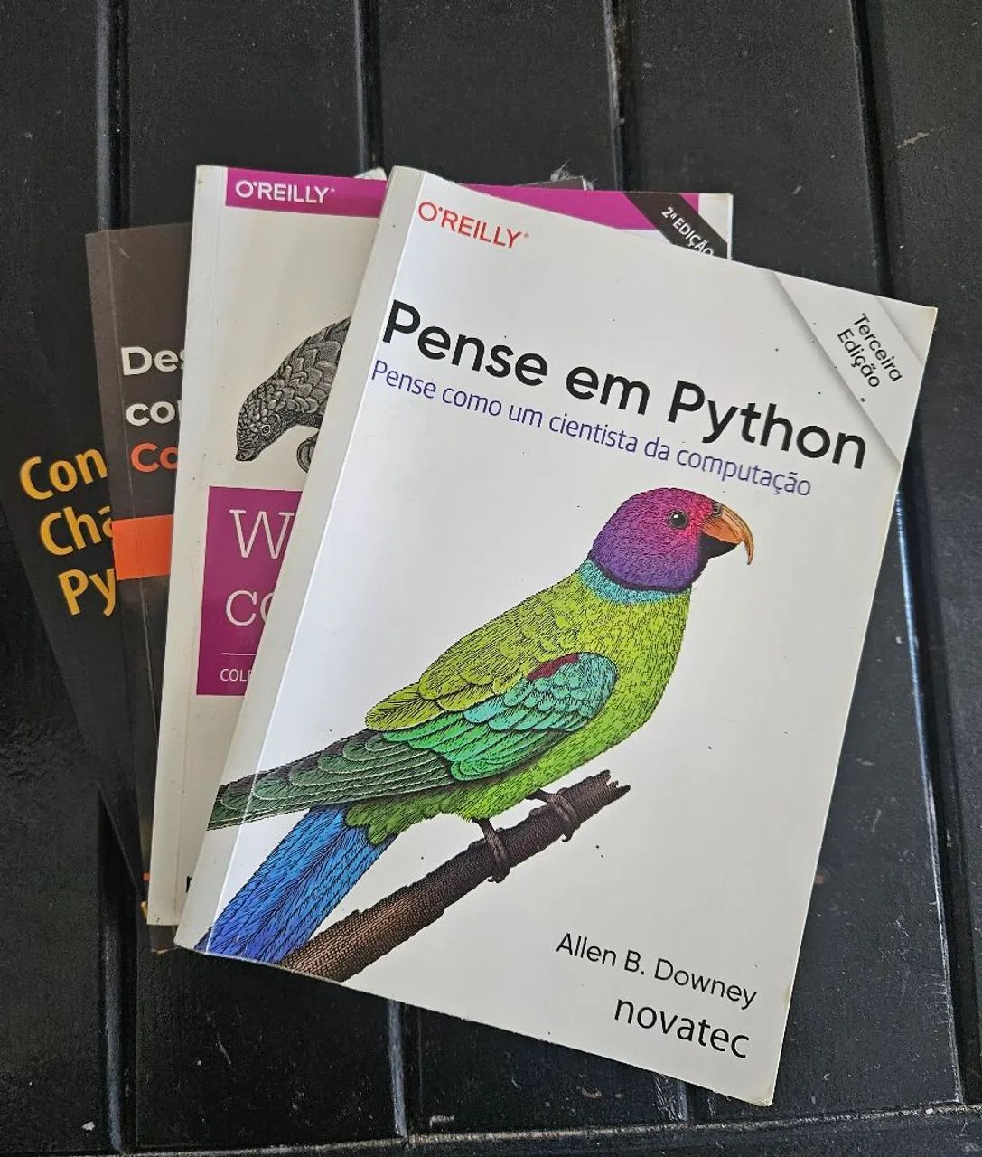 Livros Python