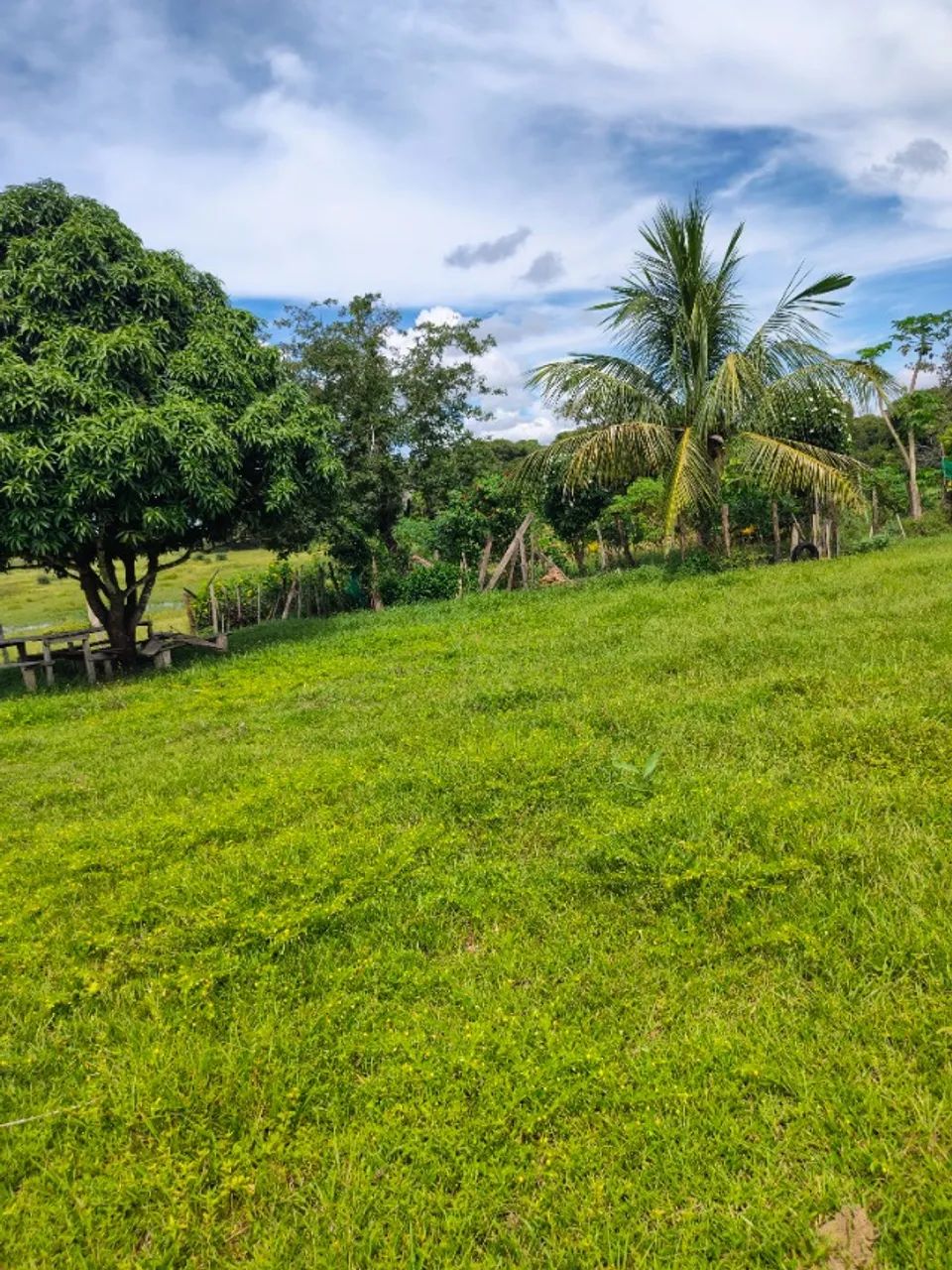 Sítio na região do Fedegoso 27 hectares - Foto 4