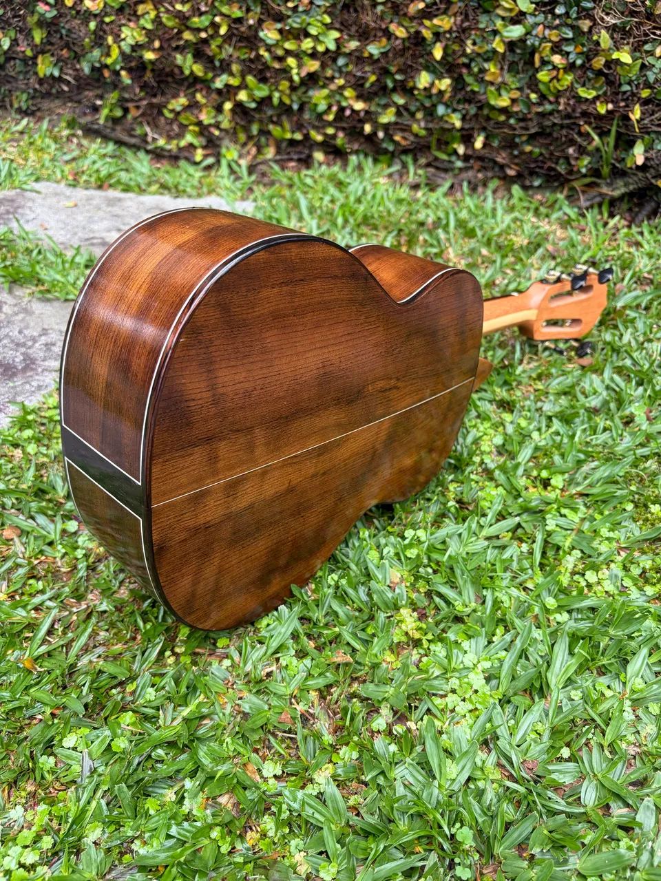 Cavaco Melodia Silveira - Foto 2