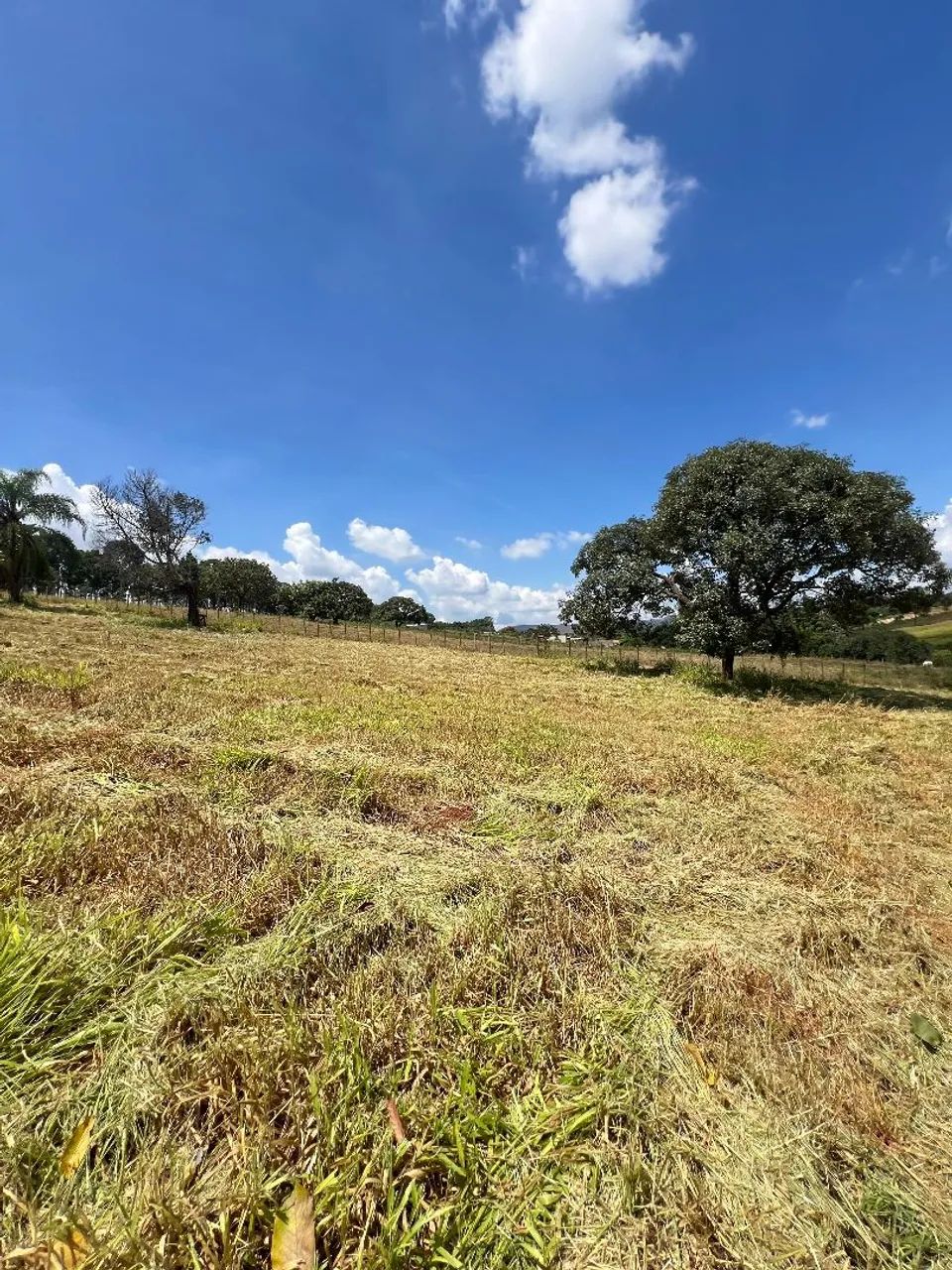 Módulo rural na região dd para de minas 