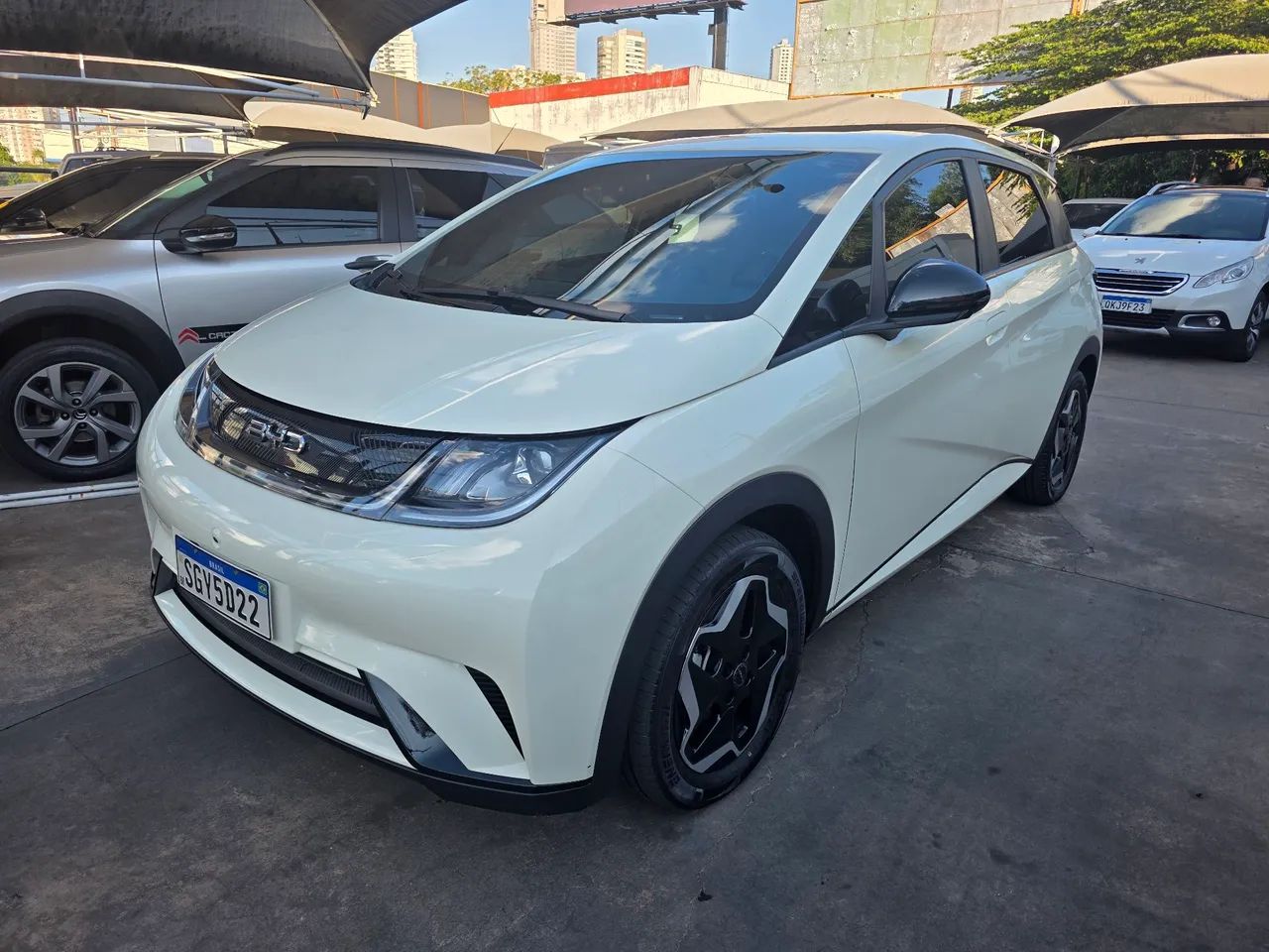 BYD Dolphin Dolphin EV (Elétrico) 2024