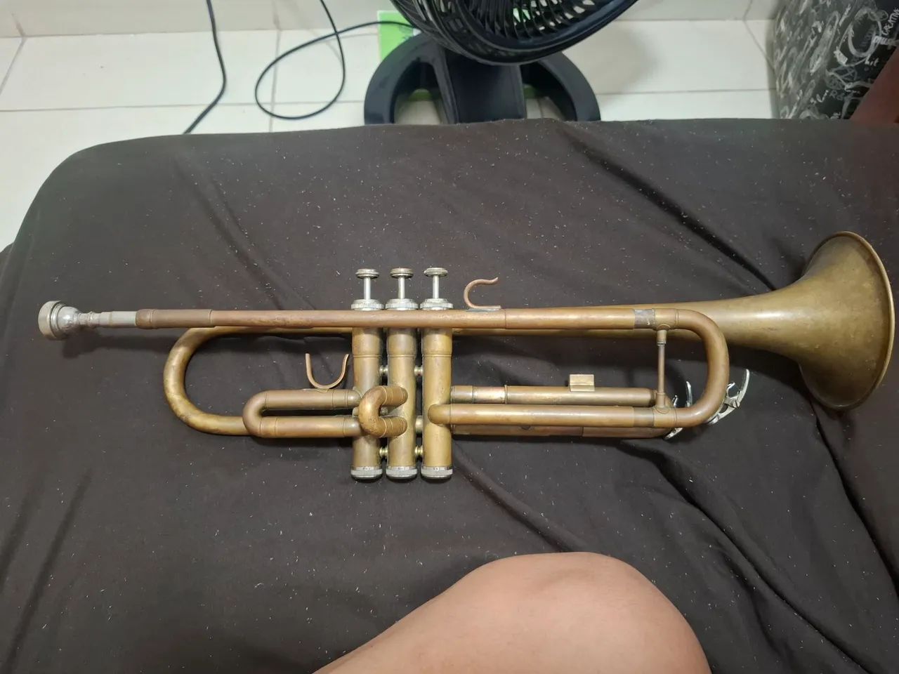 Trompete sib