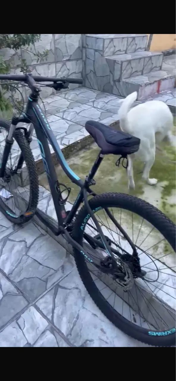 Bicicleta Oggi Float 5.0