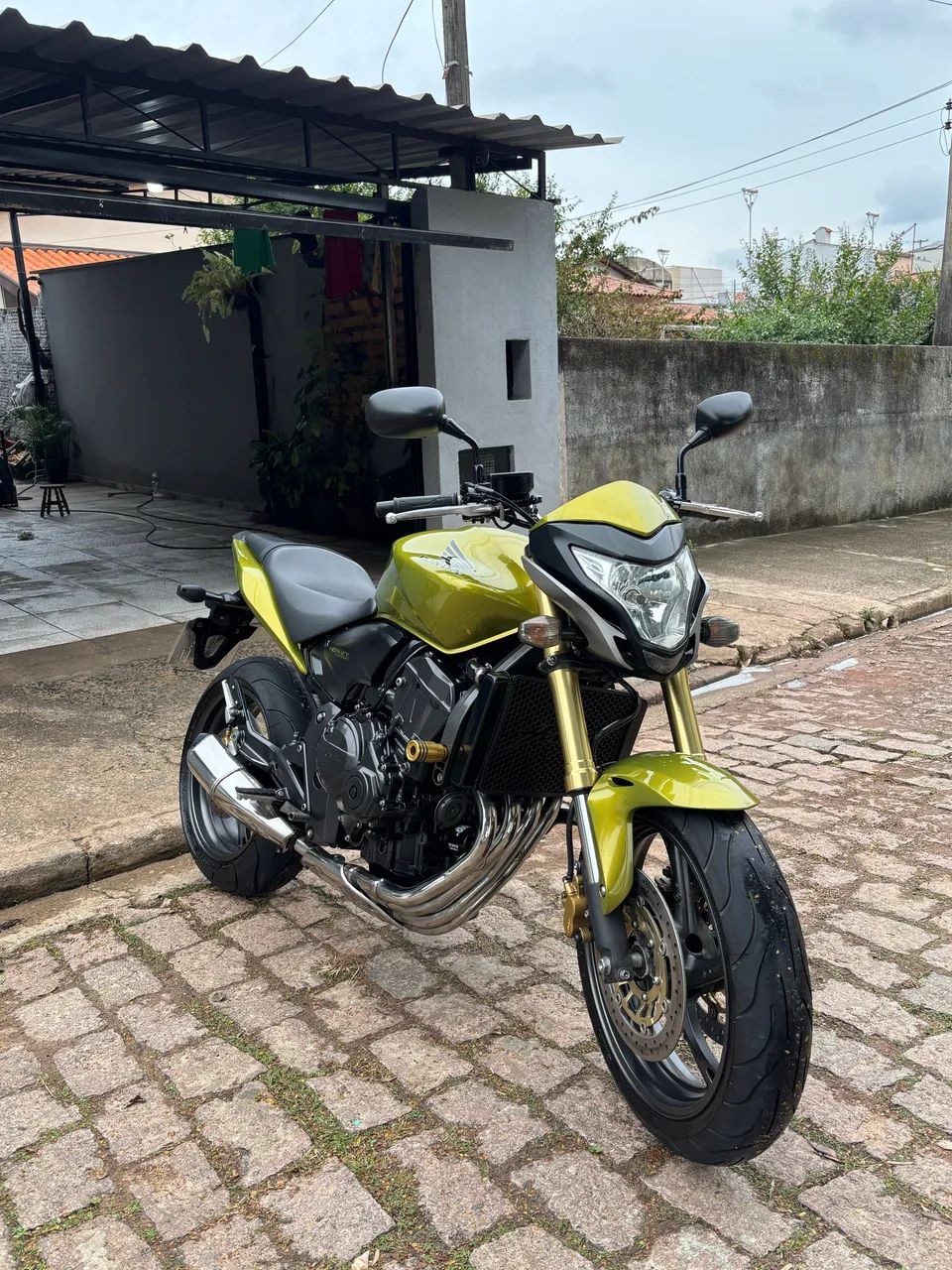 Hornet 2012 
