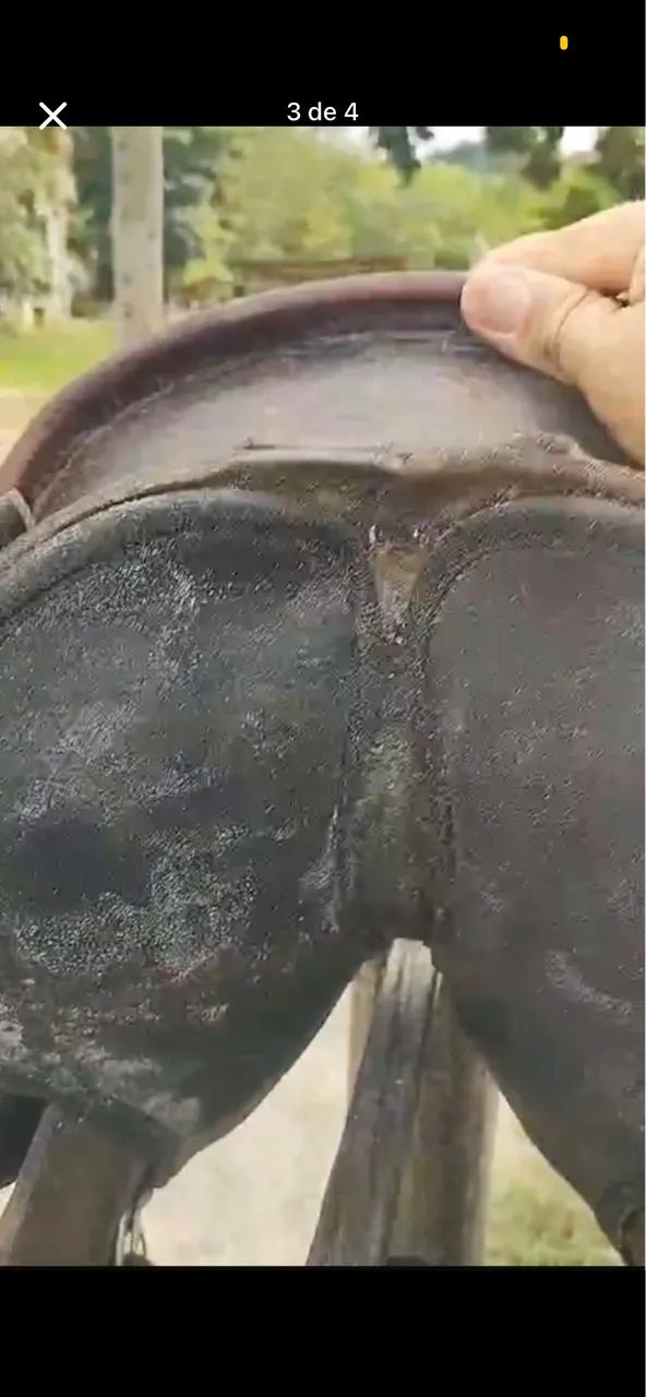 Sela de pista  - Foto 3