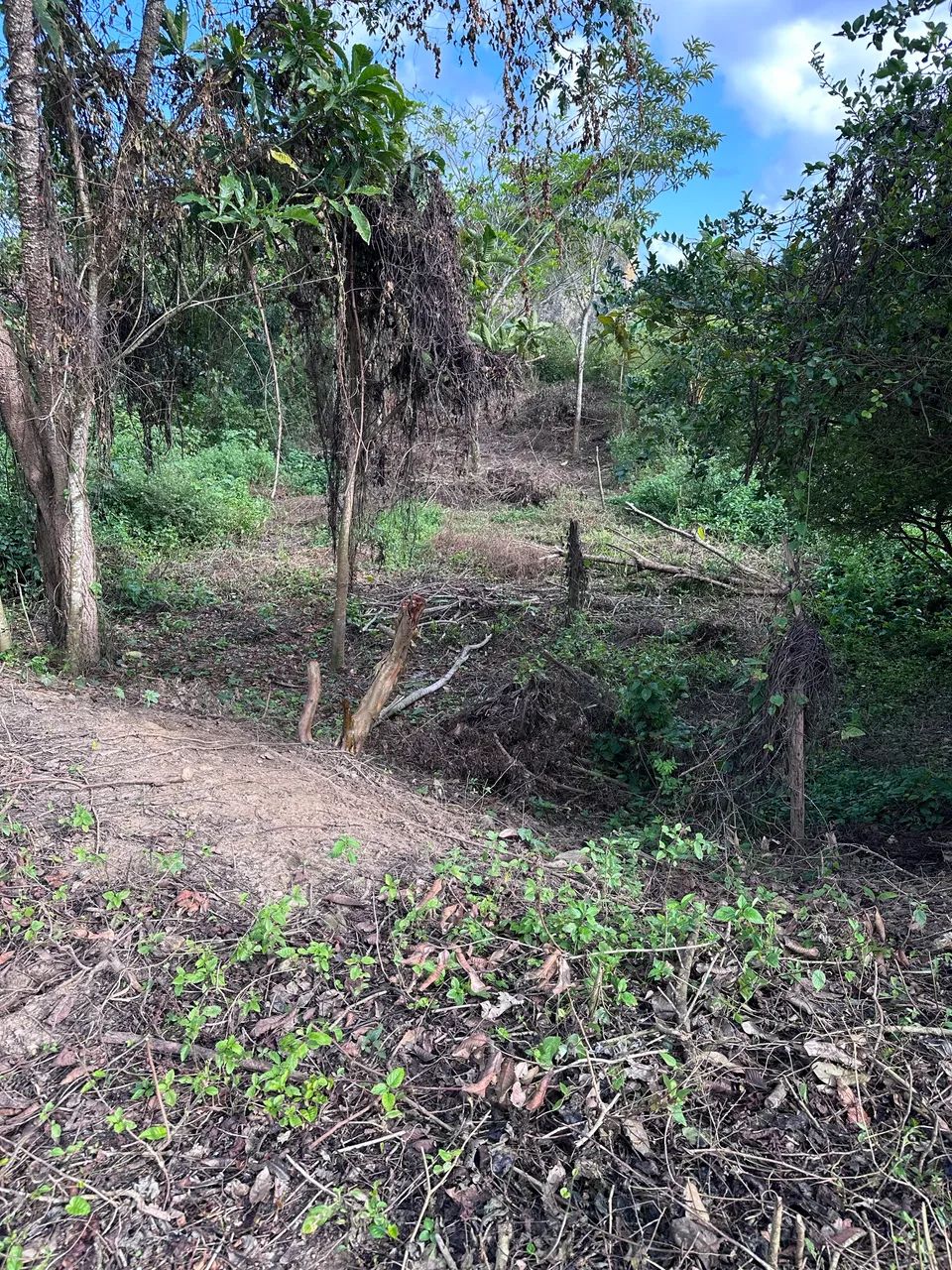 Terreno em laranjeiras 