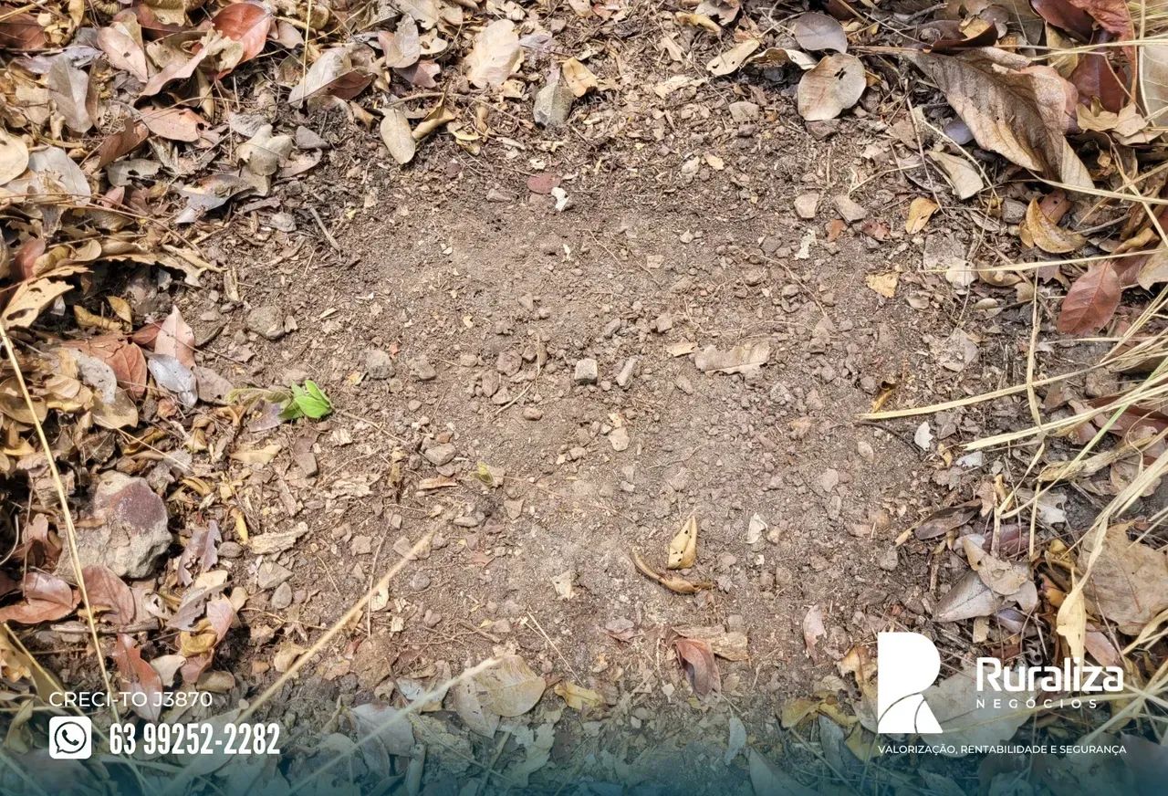 63 HA PARA ABERTURA | PLANO | EXCELENTE OPORTUNIDADE - Foto 3